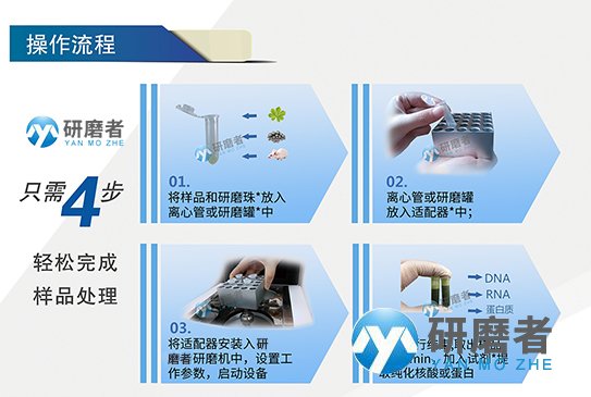 葉綠素A研磨儀的實驗操作步驟